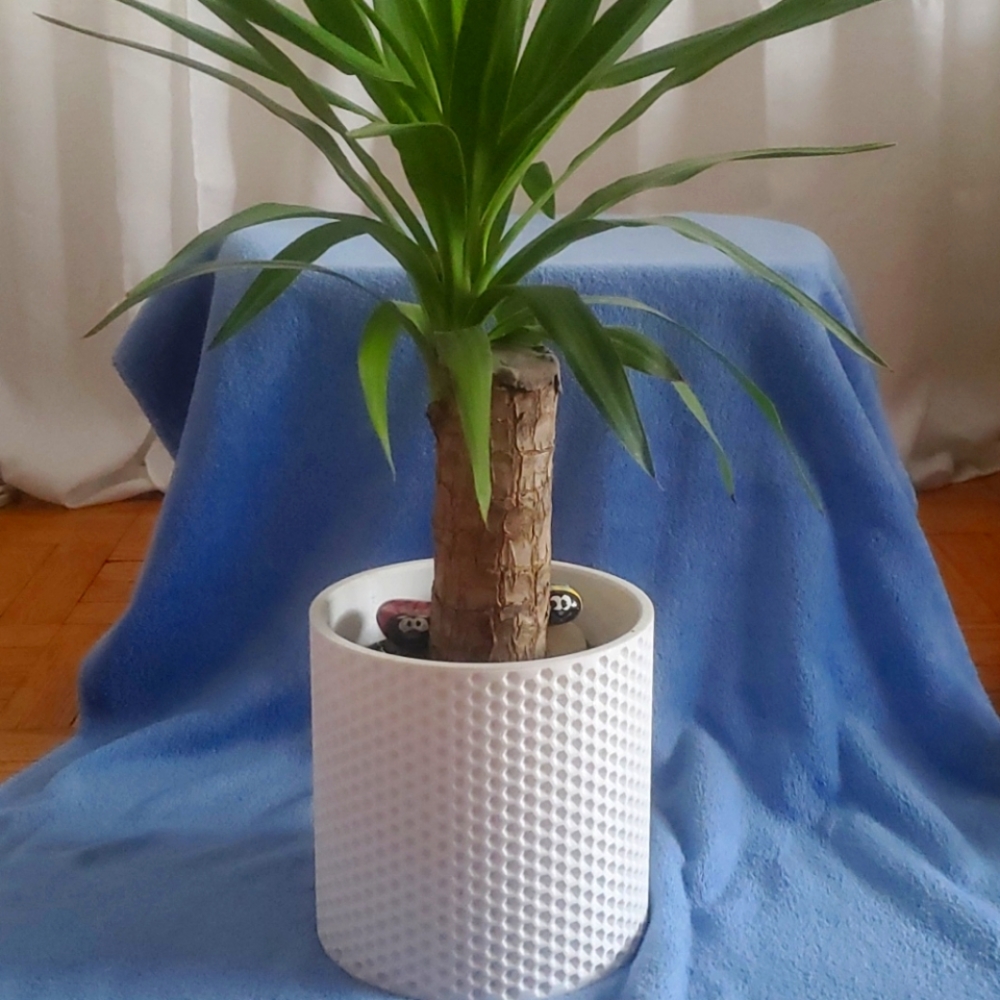 Flower pot